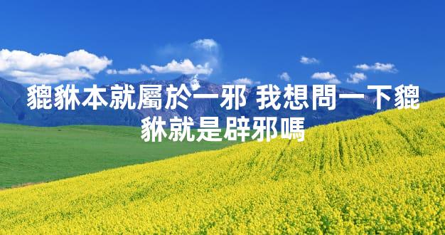 貔貅本就屬於一邪 我想問一下貔貅就是辟邪嗎